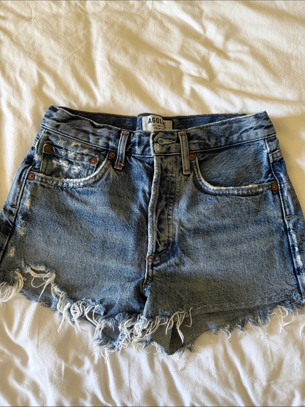 Agolde Parker Vintage Cutoff Shorts